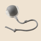 Smart Chase Ball