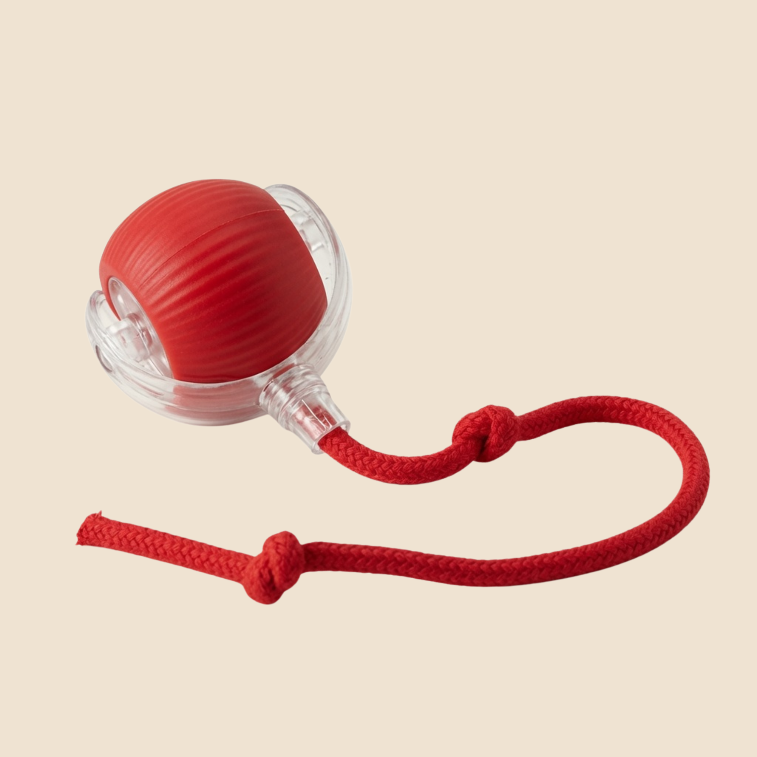 Smart Chase Ball