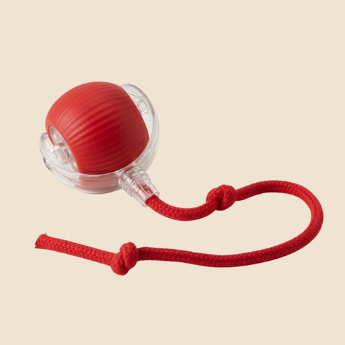 Smart Chase Ball
