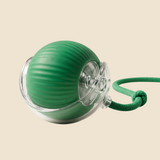 Smart Chase Ball