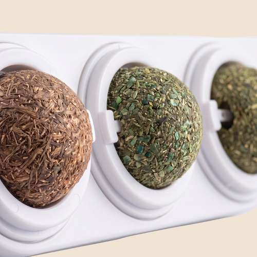 Catnip Treat Trio
