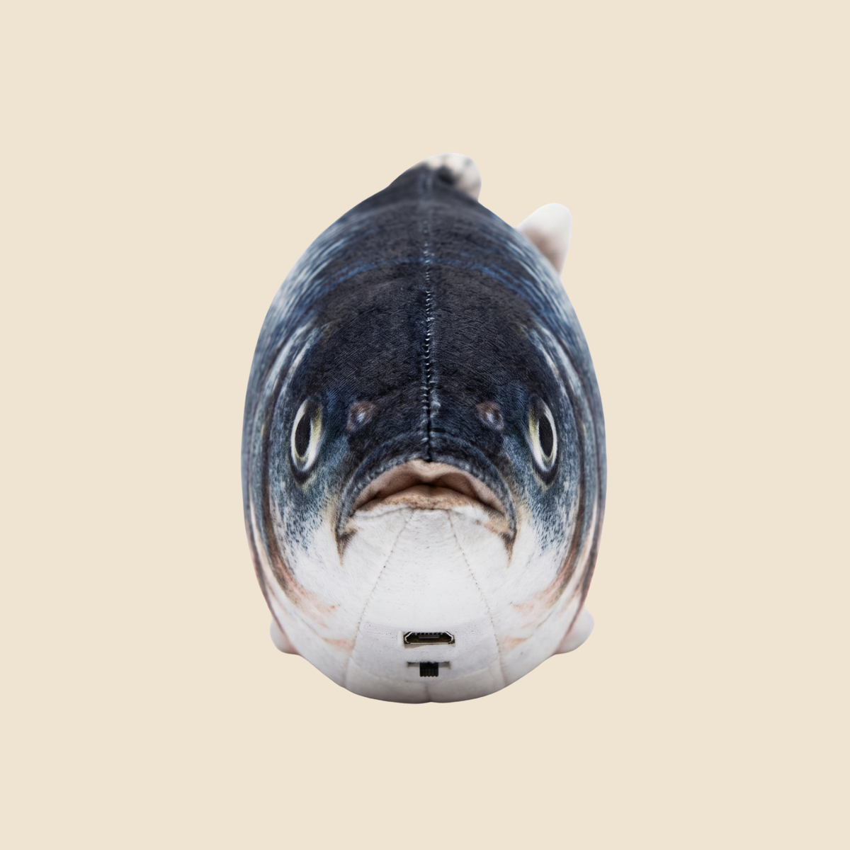 Splash Fish