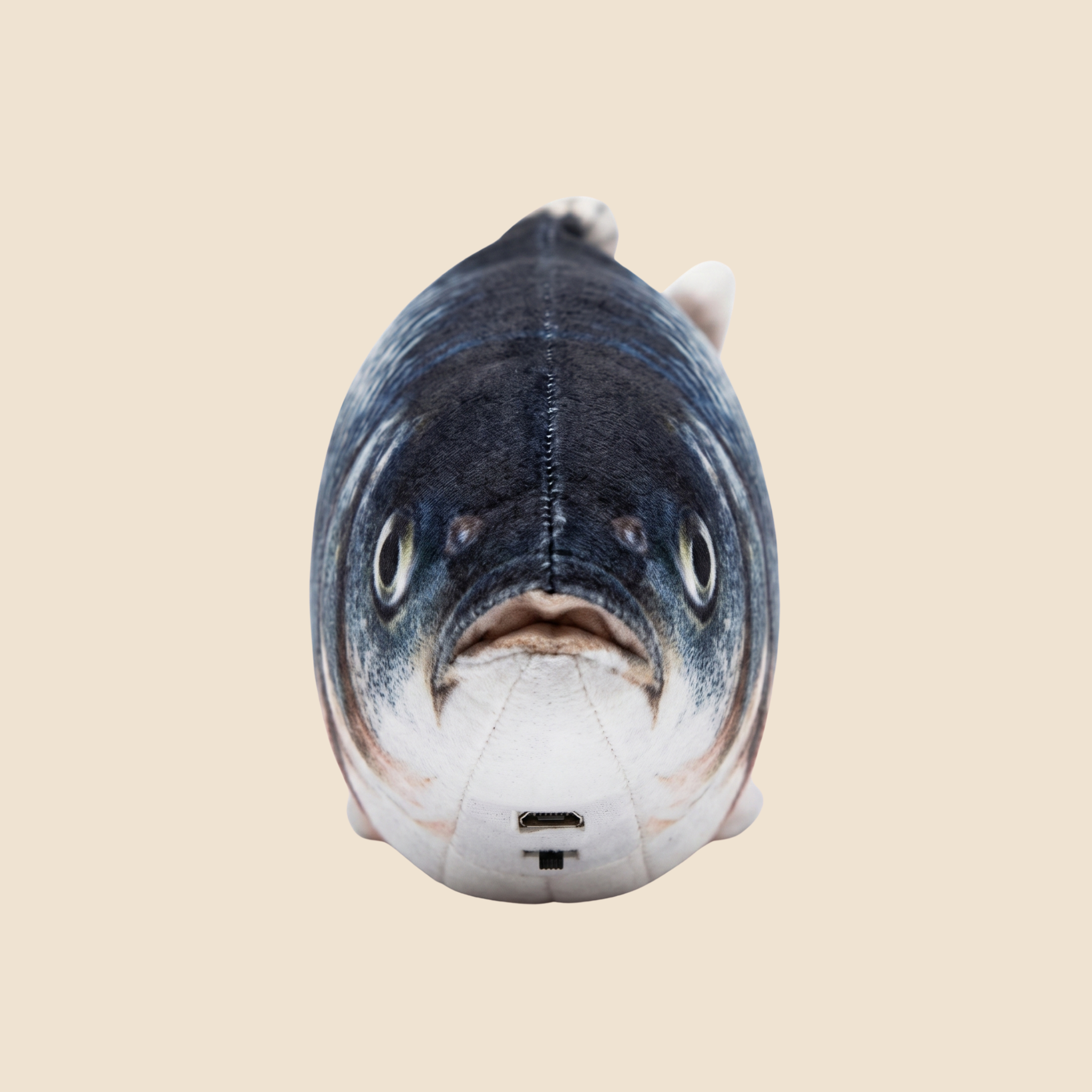 Splash Fish