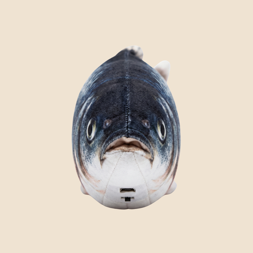 Splash Fish