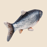 Splash Fish