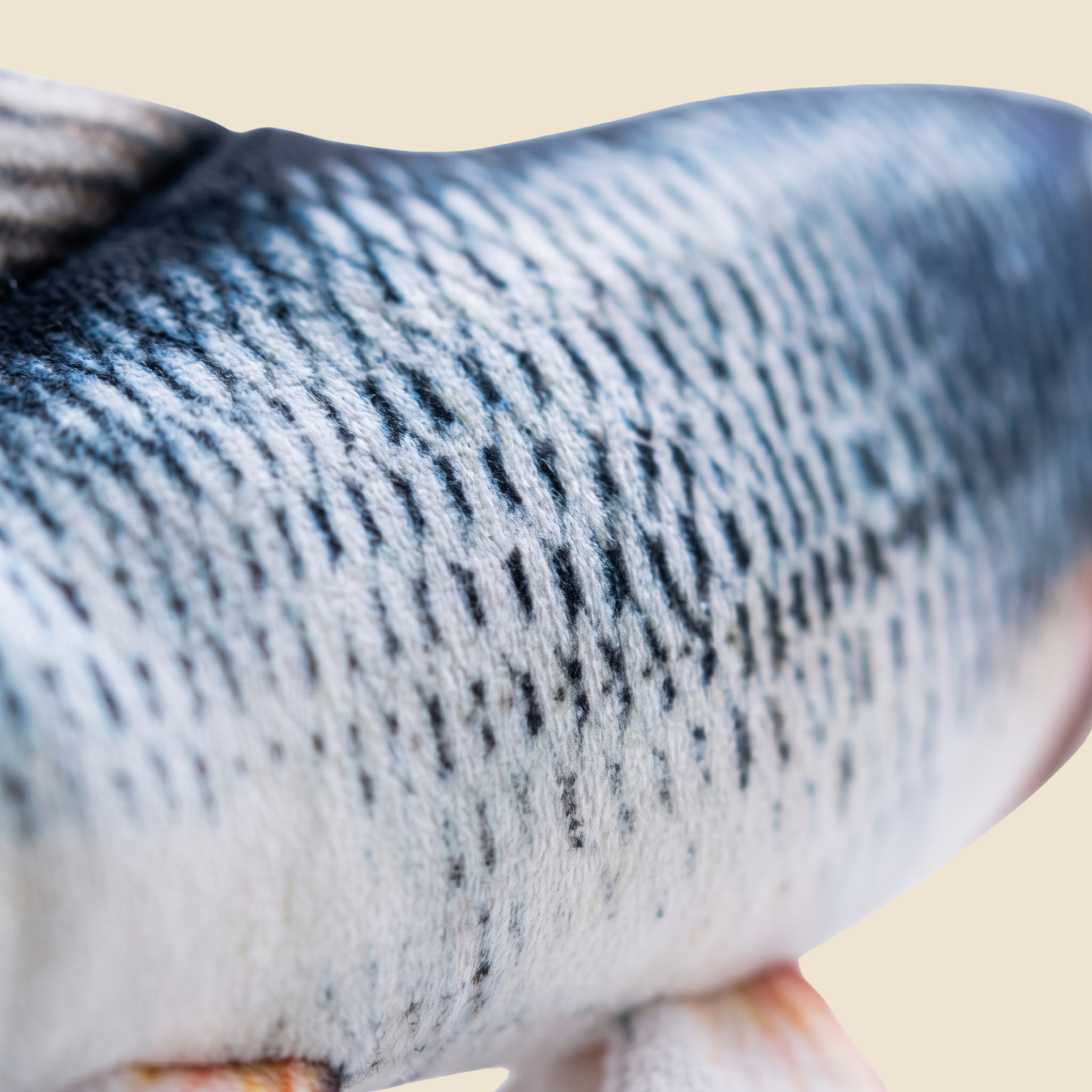 Splash Fish