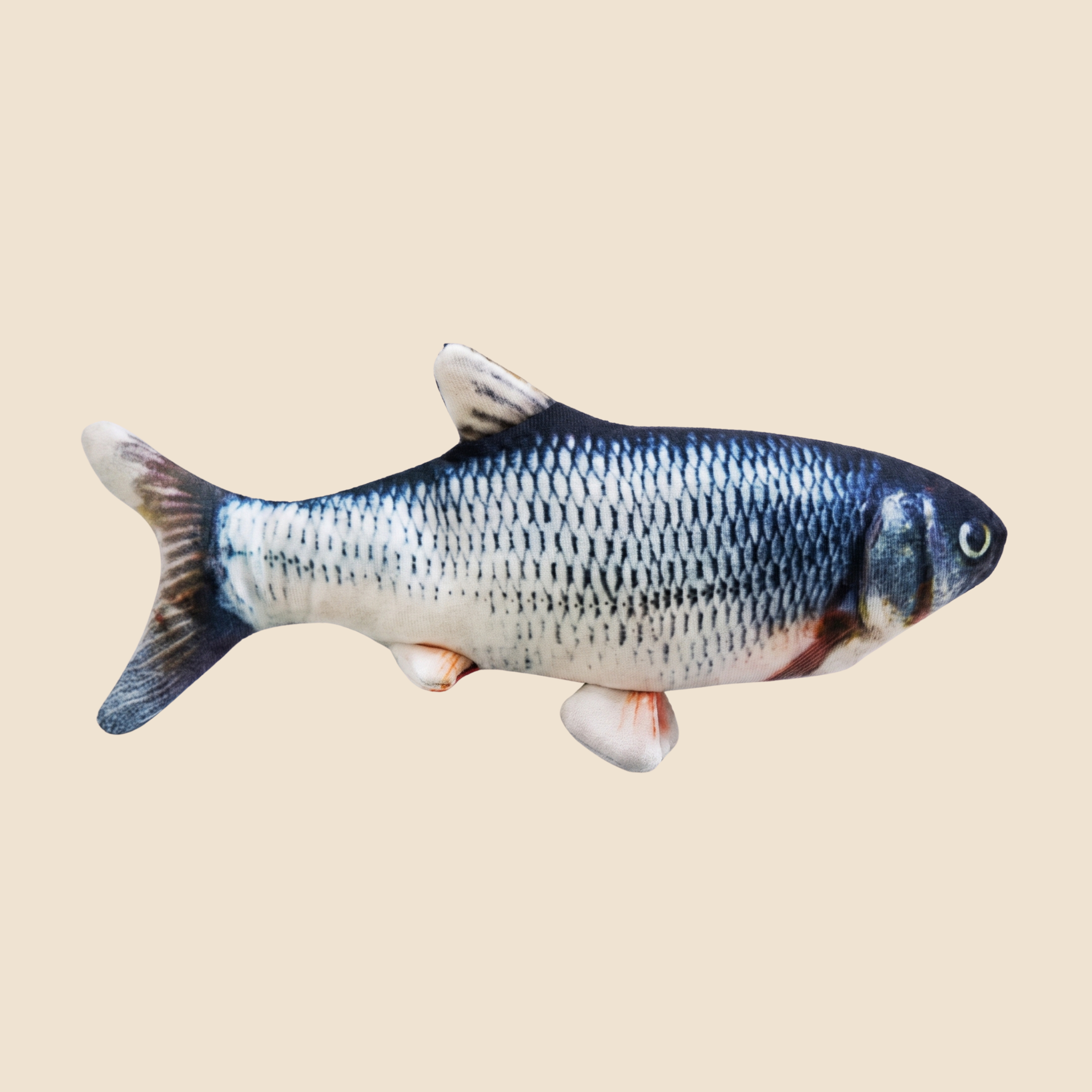 Splash Fish